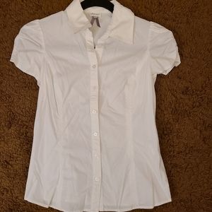 Dynamite short sleeve blouse